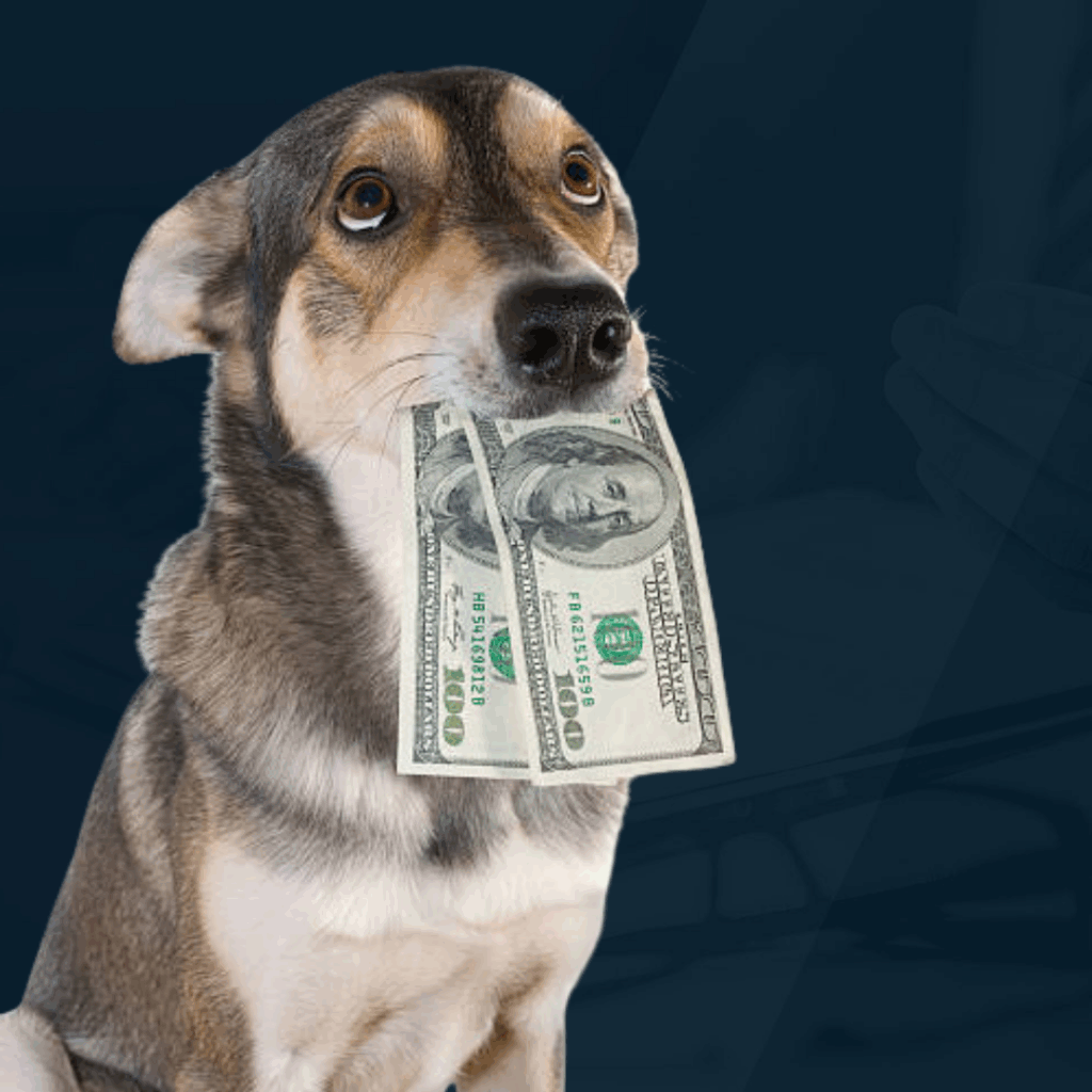 F Reorganizations and the PTET